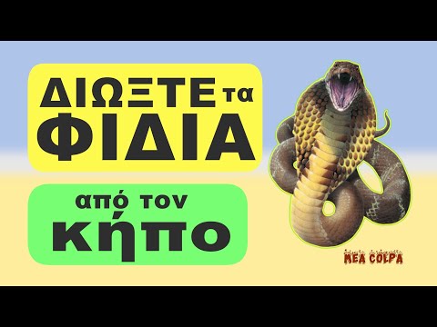 Βίντεο: Πώς να ξεφύγετε από τα φίδια