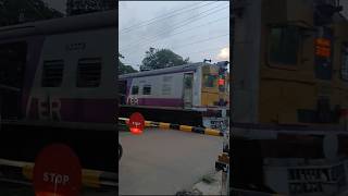 Gate Crossing Moment #train #vlog #trending #short #shorts #new