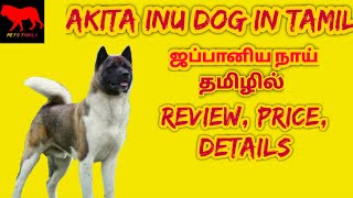 Akita Inu dog review in tamil/Akita Inu dog price in India/dogs/petstamila/Tamil