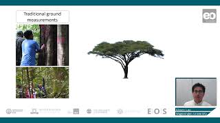 Biomass Estimation: LiDAR for Biomass Estimation Profile