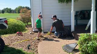 Doing some landscaping and pulling some shrubs !