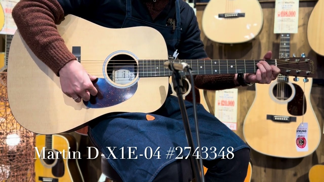 ギター martin & co. DRSG DRSG