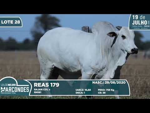 LOTE 28   REAS 179