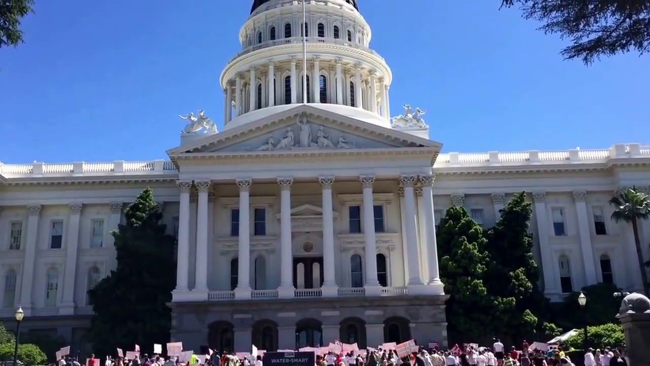 Apr 16, 2016 Sacramento Ca protest for Bodnariu family