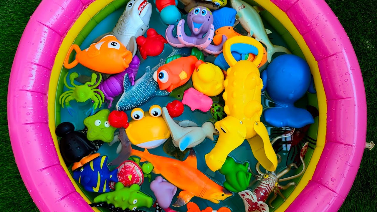 Learn Sea Animals for Kids | Exciting Ocean Discovery & Educational ...