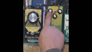 Nick from Prairie Witch Earthquaker Devices Acapulco Gold