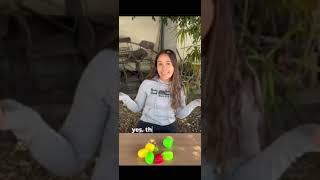 Oral project, 2nd partial English