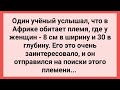 Как Ученый Искал Племя в Африке с Интересными Женщинами! Сборник Свежих Смешных Жизненных Анекдотов!