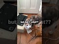 #cat#clickhere#singer#singersongwriter#subscribe#subsribers#ytshorts#fypシ#songwritermonday