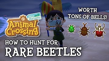 How to Hunt Rare Beetles in Animal Crossing New Horizons