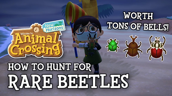 How to Hunt Rare Beetles in Animal Crossing New Horizons