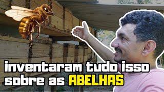 Mentiram Pra Você Sobre Abelha Uruçú Nordestina