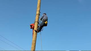 Pole Top Rescue Safety Training 2023