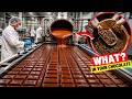 Inside Chocolate Factories: The Weird Side No One Talks About