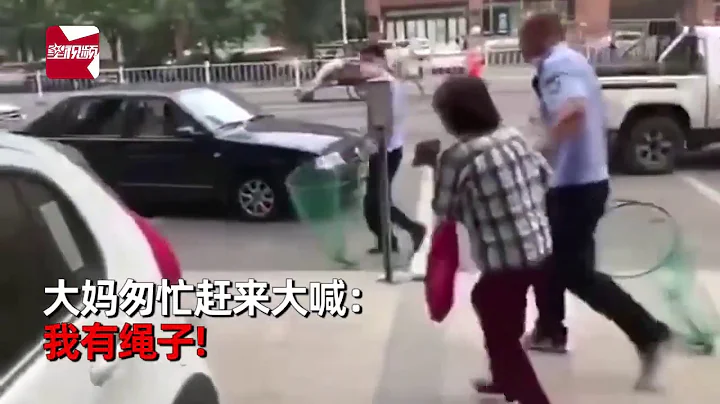 遛狗不牵绳狗被直接抓走，狗主人躺地上哭喊求饶：我有绳子！ - 天天要闻