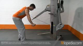 Single Arm Cable Cross Reverse Fly with Isometric Tension