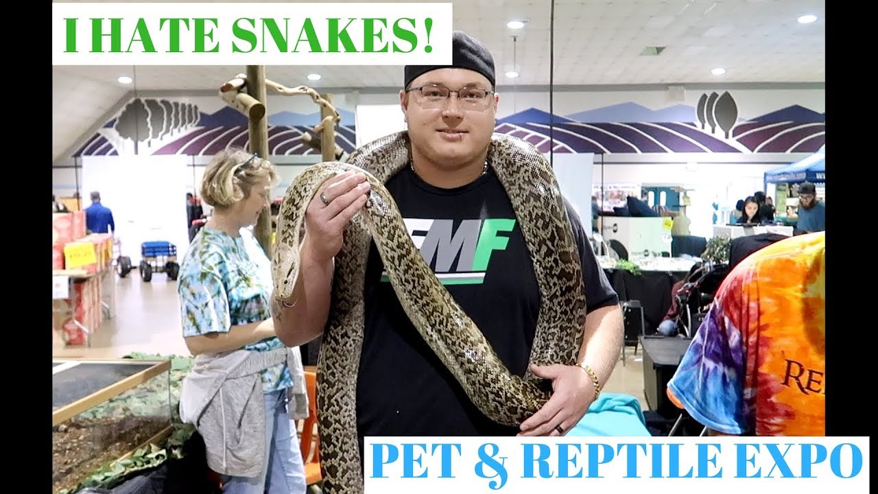 BAKERSFIELD PET & REPTILE EXPO 2018 - YouTube