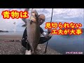 青物にジグを見切られない為の工夫【ライトショアジギング・スーパーライトショアジギング】ジギングフルモン220