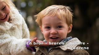 Norsk A1Vokabular | Familie| Lær norsk med Nancy. Learn Norwegian fast.