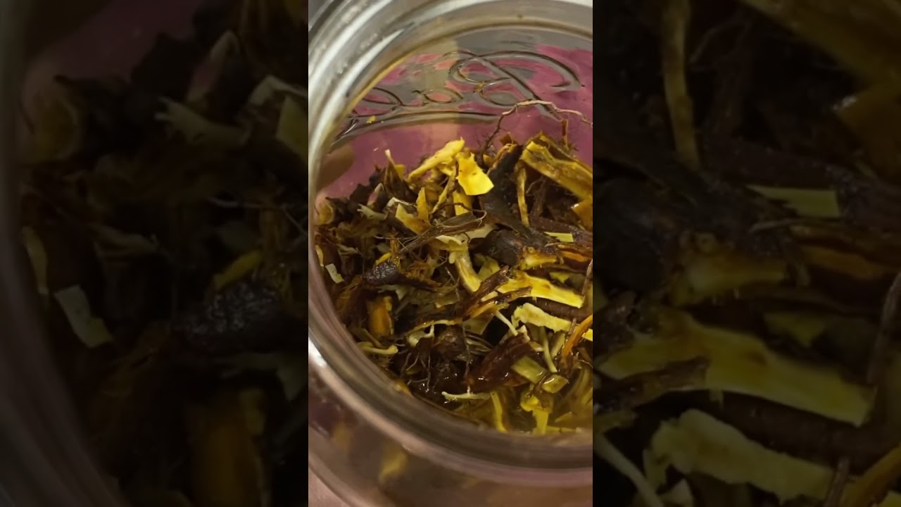 Japanese knotweed root for Lyme disease?? 🤷‍♀️🤔🤞