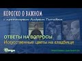 Искусственные цветы на кладбище о. Андрей Ткачев