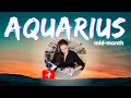 AQUARIUS | It Seems You Should Be Encouraged, Not Discouraged | Mid-Month | May 2024