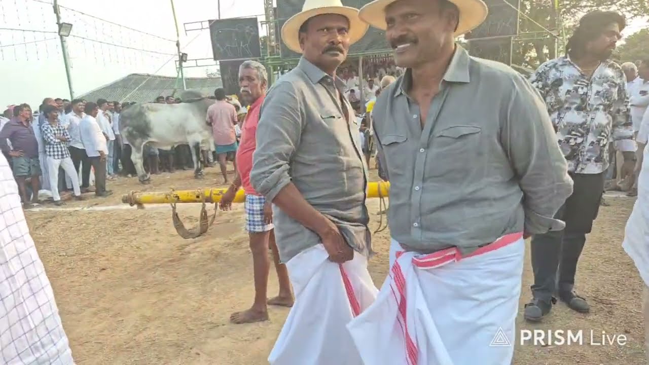 రామ్–లక్ష్మణ్  అన్నంబోట్లవారిపాలెం Pavuluri VeeraSwami Chowdary Seniors bulls 