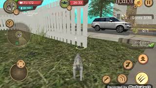 Cat sim de nasıl eş edinmeye nasıl yavru kedi yapmayı gösteriyorum screenshot 4