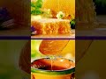 József Hegyi, Hungarian Beekeeper | Meet a Scientologist
