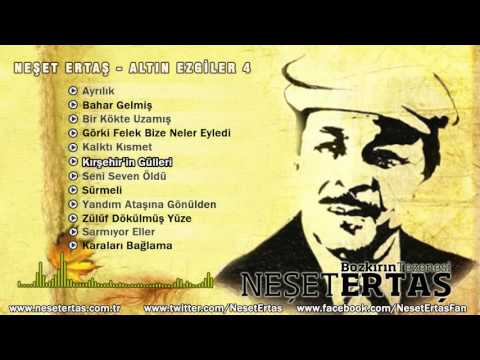 Neşet Ertaş -