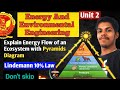 Energy Flow in Ecosystem | Lindemann 10% Law |Energy, Environmental Engineering ES301 | RGPV 3rd Sem