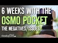 DJI Osmo Pocket, 6 Weeks Later...(the negatives/issues)