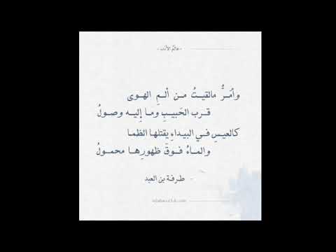 و أمر ما لقيت من ألم الهوى