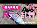 春の淡路は尺アジパラダイス【３月 淡路島 飛ばしサビキ＆アジング】Japanese amberjack