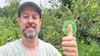 Jetzt Ist Die Zeit Zum Beschneiden