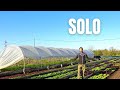SOLO | Una semana cultivando y vendiendo en solitario