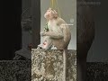 🤭🤭🐒🐒🐒