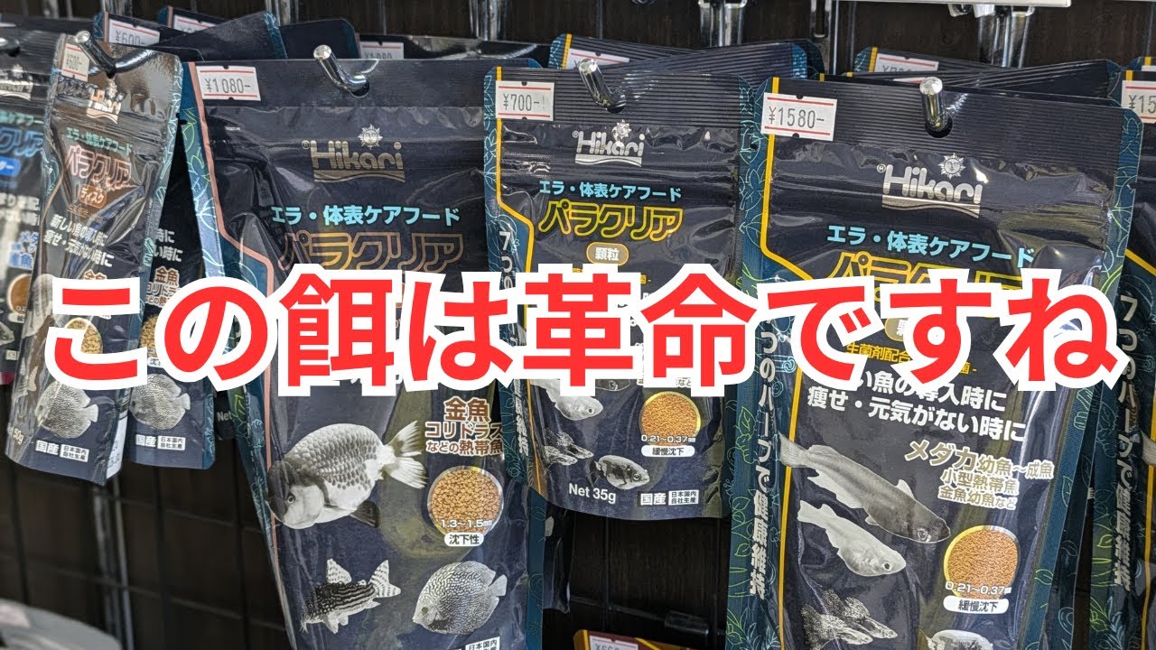 パラクリアはやっぱり凄い餌ですよ！