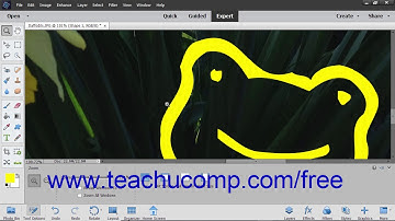 Photoshop Elements 2019 Tutorial Vector Graphics Adobe Training