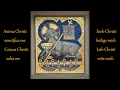 Anima christi  mit text with lyrics