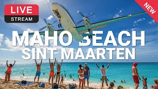 Maho Beach | Sint Maarten | SXM Airport ✈️ LIVE WEBCAM screenshot 3