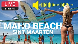 Preview of stream NEW LIVE WEBCAM Feb 16, 2024 | Maho Beach Sint Maarten | SXM Airport ✈️