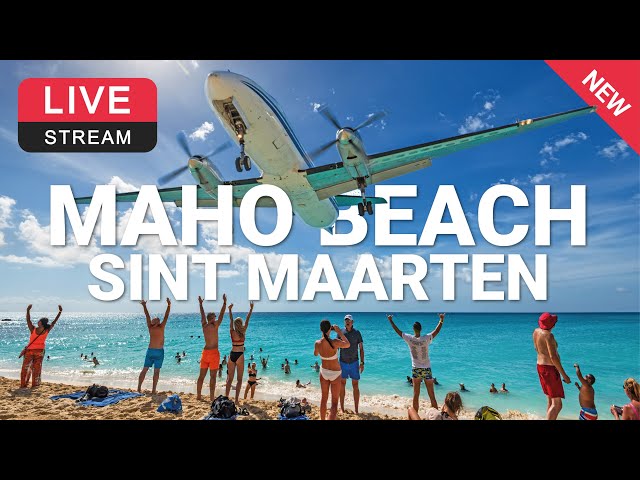 NEW WEBCAM | Maho Beach LIVE 👉 08.03.2024 | Sint Maarten | SXM Airport ✈️