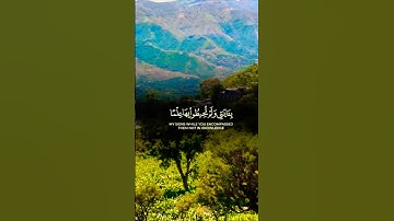 تلاوة خاشعة بصوت يريح القلب #elmulquranعلم #trend #تلاوة #المصحف #قران_كريم #لايك #aslam #اكسبلور