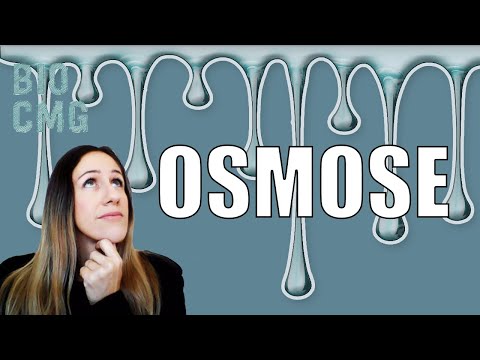 Vídeo: Durante a osmose a água se move em direção?