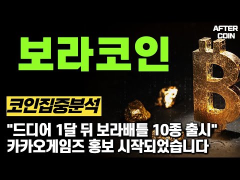 보라코인 전망 드디어 1달 뒤 보라배틀 10종 출시합니다 꼭 확인하세요 보라코인호재 보라코인시세 보라코인전망 