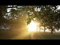 NALO Ikigai Featuring ALYRA NALO Ikigai Featuring ALYRA