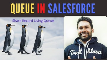 Queue in Salesforce | Share Record using Queue | #Salesforce #AwesomeAdmin #SFDCPanther #AskPanther