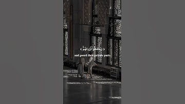 آية لِّلۡمُؤۡمِنِينَ من سورة النور بصوت الشيخ احمد خضر | أرح سمعك