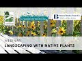 Landscaping with Native Plants